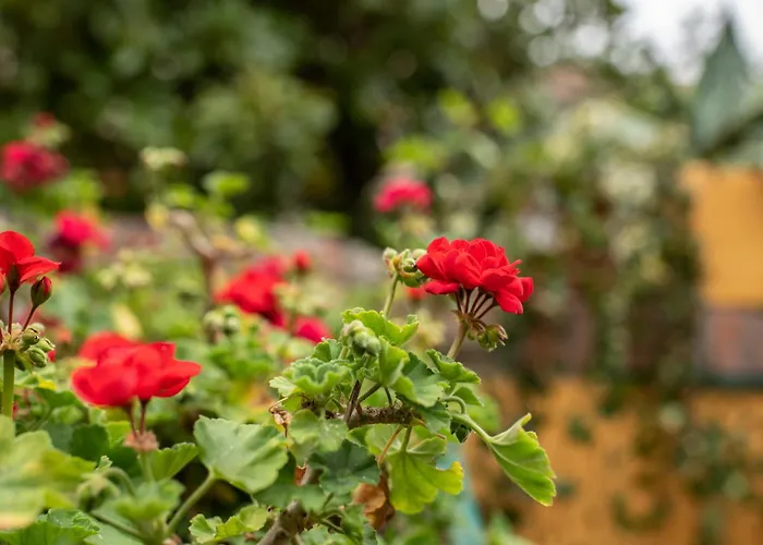 Apartamento Romantica Corte Degli Estensi